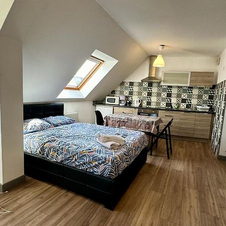 Appartement 4 Personnes En Plein Centre De Colmar Esterno foto